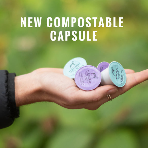 Terbodore English Toffee – 10 Compostable Nespresso compatible coffee capsules