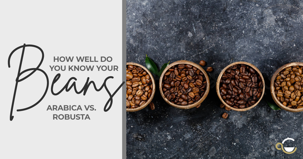What is the difference between Arabica and Robusta coffee beans? Thumbnail