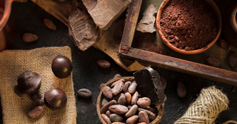 Why Does Your Brain Light Up Over a Mocha?