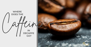 What happens to your Caffeine?