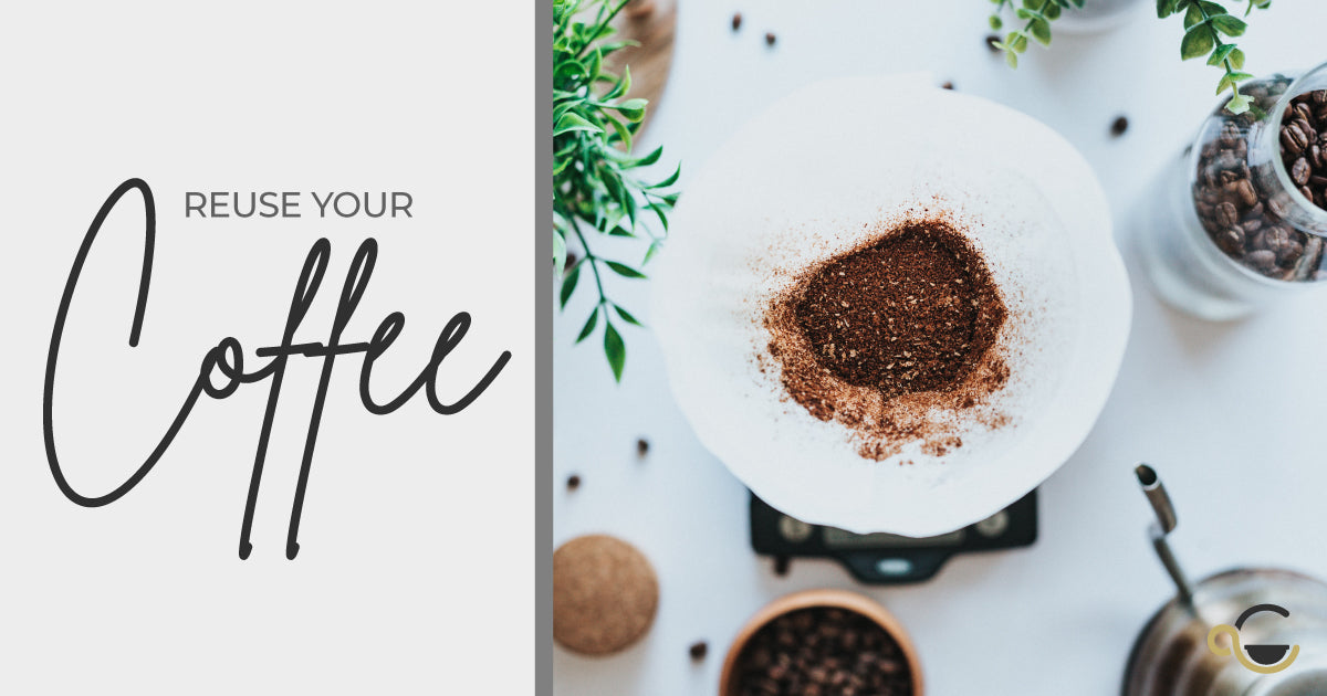 Our Top Five Tips on how to make use of your Coffee grounds Thumbnail