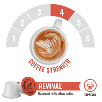 Terbodore Revival – 10 Compostable Nespresso compatible coffee capsules