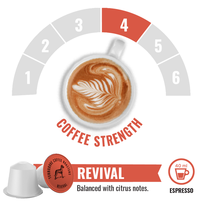 Terbodore Revival – 10 Compostable Nespresso compatible coffee capsules