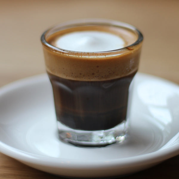Coffee Collection Favourites - 100 Nespresso compatible coffee capsules
